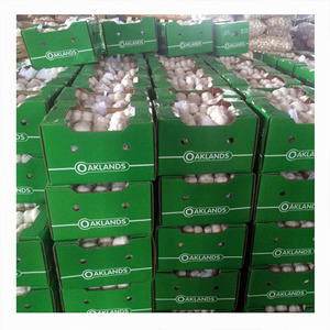 Exclusive discounts on new snow white garlic good price 5-6cm white garlic wholesale with ISO9001