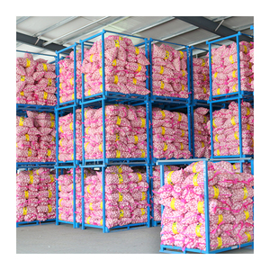 Good price 5cm normal white garlic selected for you high quality fresh white garlic wholesale 