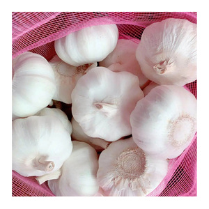 4.5cm pure/snow white garlic in 10/20kg mesh bag wholesale Coupons for popular garlics